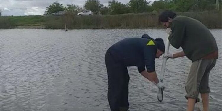 Nuevo frente de conflicto por los agroquímicos en Lobos: Vecinos denuncian la presencia de sustancias químicas en el agua potable e interviene la justicia