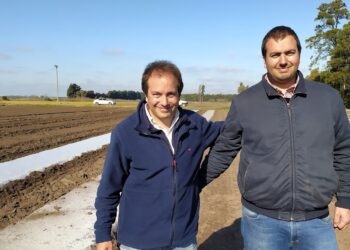 Al final, la Reina Batata vivía en San Pedro: La familia Manresa la produce desde 1900 y su principal mercado es el interno
