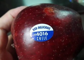 El pecado original: En el primer semestre crecieron 45% las importaciones “subsidiadas” de alimentos que en muchos casos se podrían producir acá