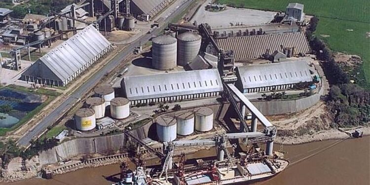 Movete chiquita movete: Hace nueve meses la ex ONCCA tiene retenidas más de 40 mil toneladas de soja y trigo malográndose en los silos de Vicentín