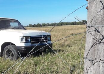 El lamento de un ganadero chaqueño que tiene que dormir con las vacas cerca de su casa para que no se las lleven: “Nos roban hasta los tensores de los alambrados”