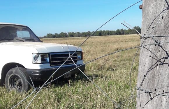 El lamento de un ganadero chaqueño que tiene que dormir con las vacas cerca de su casa para que no se las lleven: “Nos roban hasta los tensores de los alambrados”