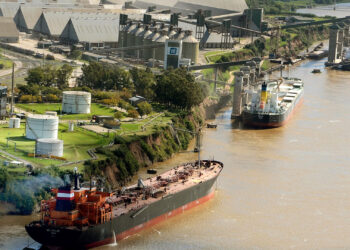 La soja es cada vez más relevante para la economía, pero su siembra se reduce desde 2015 en las mejores zonas agrícolas