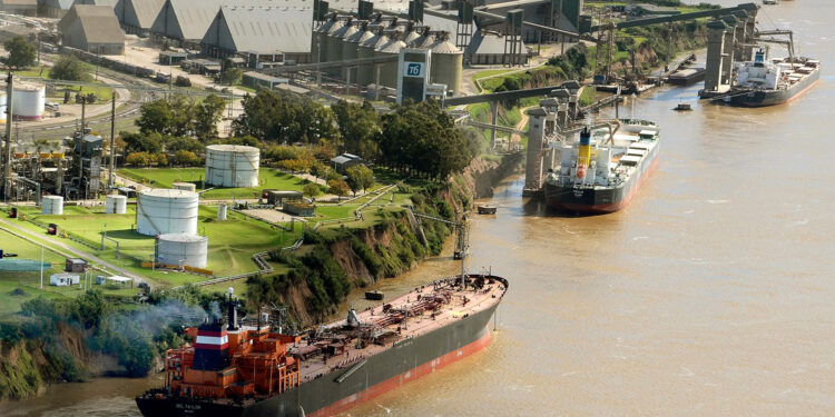 La soja es cada vez más relevante para la economía, pero su siembra se reduce desde 2015 en las mejores zonas agrícolas