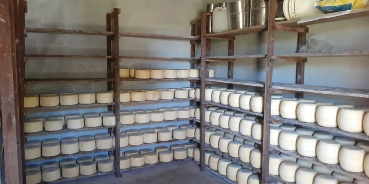 Un espaldarazo para los pequeños productores lácteos: Entró en vigencia la nueva normativa para los establecimientos de elaboración artesanal