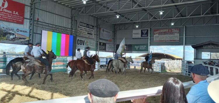 Los toros sin bozal ni tapabocas: Luego de un año y medio de pandemia regresan las exposiciones rurales y los remates de hacienda con público