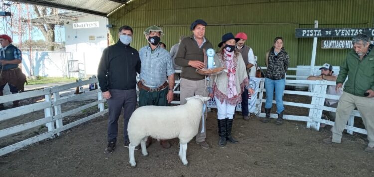 Los toros sin bozal ni tapabocas: Luego de un año y medio de pandemia regresan las exposiciones rurales y los remates de hacienda con público