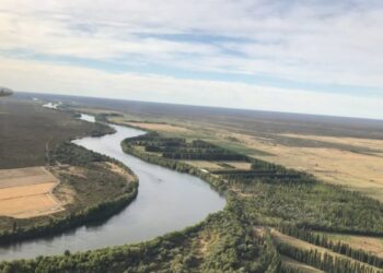Parece que la introducción de la agricultura bajo riego en Río Negro mejora los suelos patagónicos en vez de afectarlos