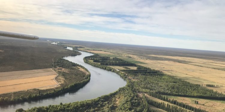 Parece que la introducción de la agricultura bajo riego en Río Negro mejora los suelos patagónicos en vez de afectarlos
