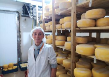 ¿Cómo sobrevive un tambo de 3.500 litros? Rosario López Seco cree que solo puede hacerlo agregando valor y por eso se puso a producir quesos agroecológicos