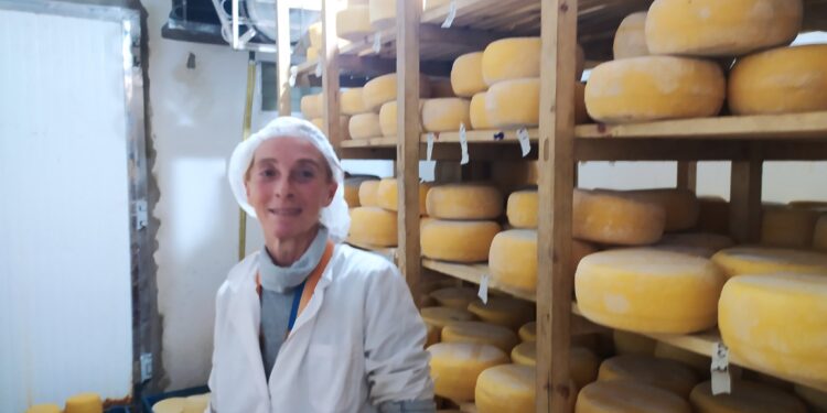 ¿Cómo sobrevive un tambo de 3.500 litros? Rosario López Seco cree que solo puede hacerlo agregando valor y por eso se puso a producir quesos agroecológicos