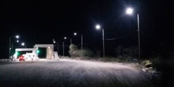 En un camión se quiso ingresar plantines de olivos, vides y almendros a la Patagonia, declarando que eran ladrillos