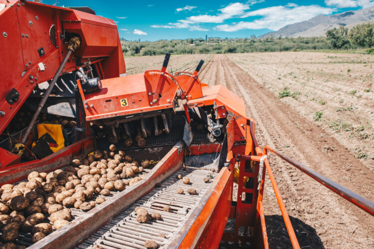 Una historia de “ututos”: Cómo fue que la familia Paz se puso a producir snacks de papa frita en Tafi del Valle, sobre las sierras del Aconquija