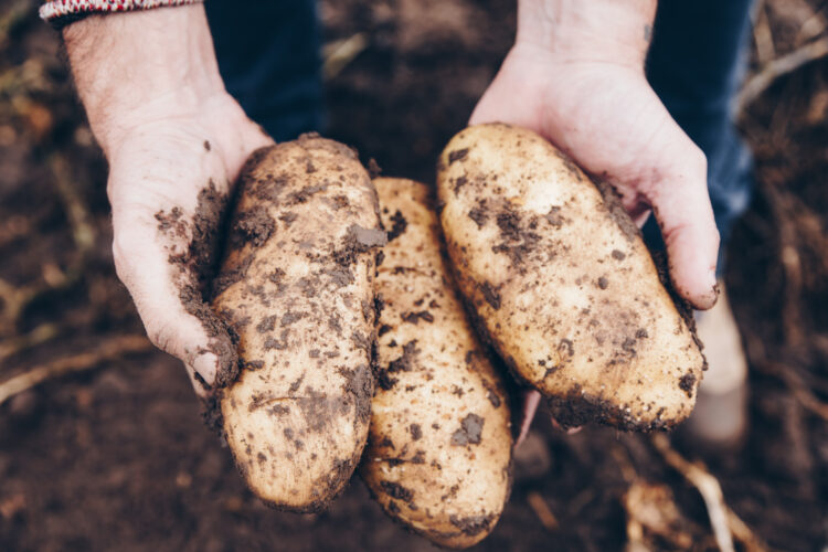 Una historia de “ututos”: Cómo fue que la familia Paz se puso a producir snacks de papa frita en Tafi del Valle, sobre las sierras del Aconquija