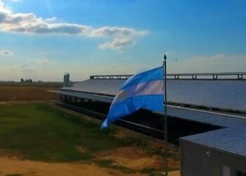 La familia Bonamico robotizó uno de sus tambos en Adelia María y obtiene 10 litros más de leche por animal: “La vaca no se tiene por qué enterar de las crisis”