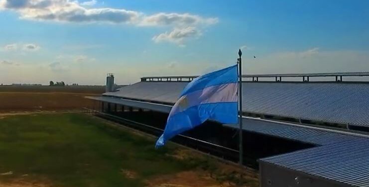 La familia Bonamico robotizó uno de sus tambos en Adelia María y obtiene 10 litros más de leche por animal: “La vaca no se tiene por qué enterar de las crisis”