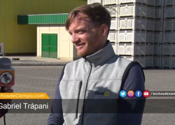 Los Trapani: Tres generaciones dedicadas a extraerle todo el jugo al limón tucumano
