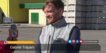 Los Trapani: Tres generaciones dedicadas a extraerle todo el jugo al limón tucumano
