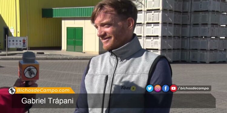 Los Trapani: Tres generaciones dedicadas a extraerle todo el jugo al limón tucumano