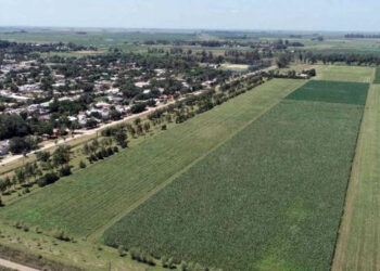 ¿Qué hacer si tu campo quedó dentro de un periurbano donde se prohíben los agroquímicos? En Córdoba, el INTA ensayó una serie de opciones para que siga siendo productivo