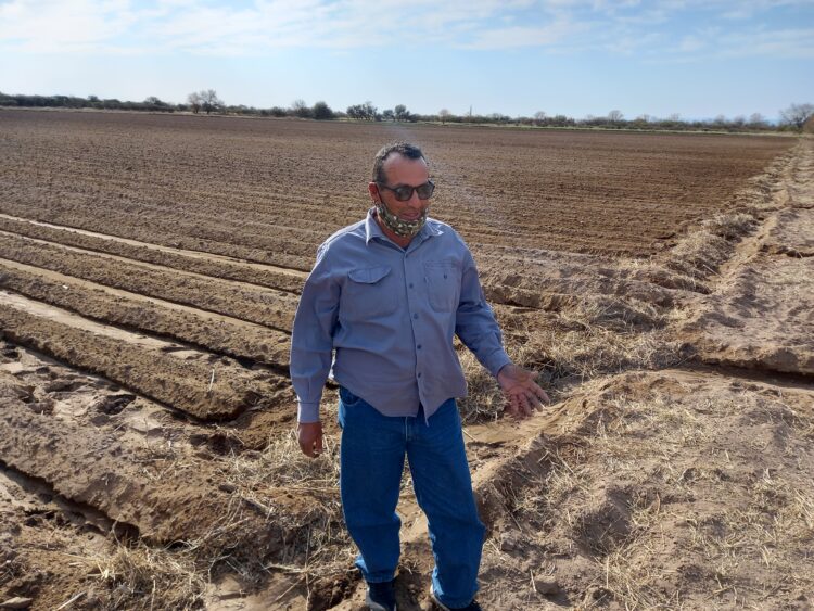 Rubén “Chiche” Domínguez relata los desafíos, éxitos y desventuras de un pequeño productor de papas de Villa Dolores: “Hace falta un poco de buena suerte”, admite