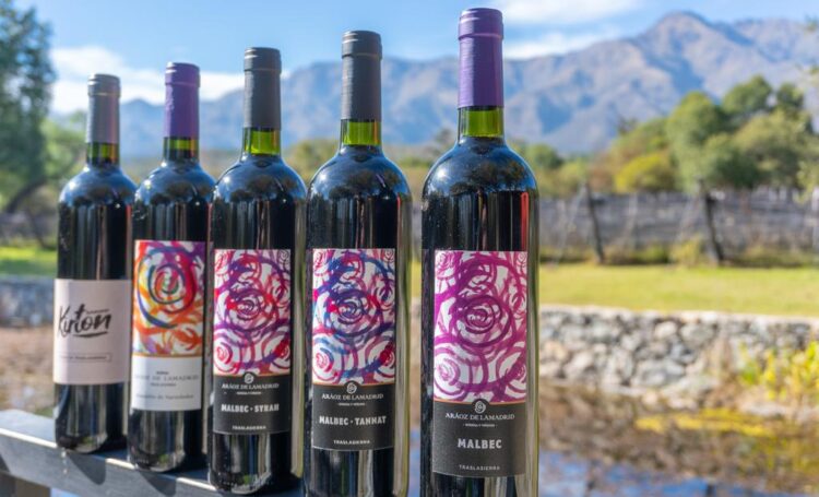 Historias de Traslasierra: Goyo Aráoz de Lamadrid se enamoró del paisaje serrano de San Javier y comenzó a producir allí sus propios vinos