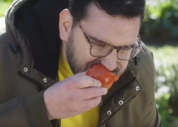 Betular aceptó el desafío de Greenpeace y se comió un tomate de invernadero para asegurar que “los herbicidas le quitan lo esencial”: Casafe salió a responderle