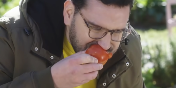 Betular aceptó el desafío de Greenpeace y se comió un tomate de invernadero para asegurar que “los herbicidas le quitan lo esencial”: Casafe salió a responderle