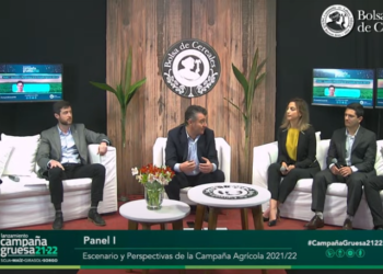 El fin de un reinado: En la campaña 2021/22 la soja volverá a perder atractivo para registrar la menor área sembrada de los últimos quince años