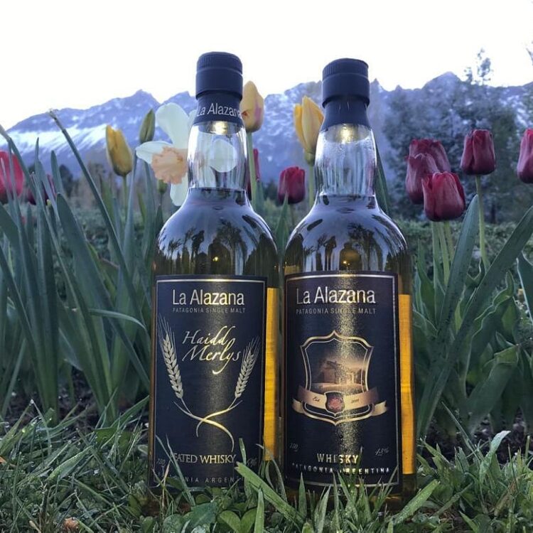 Néstor y Lila crearon la primera destilería de whisky de malta del país y son pioneros en la siembra de cebadas especiales en Chubut