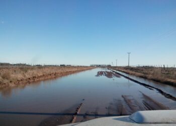 Con lo recaudado por retenciones en lo que va del año se podría haber mejorado tres veces la extensión de toda la red de caminos rurales