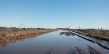 Con lo recaudado por retenciones en lo que va del año se podría haber mejorado tres veces la extensión de toda la red de caminos rurales