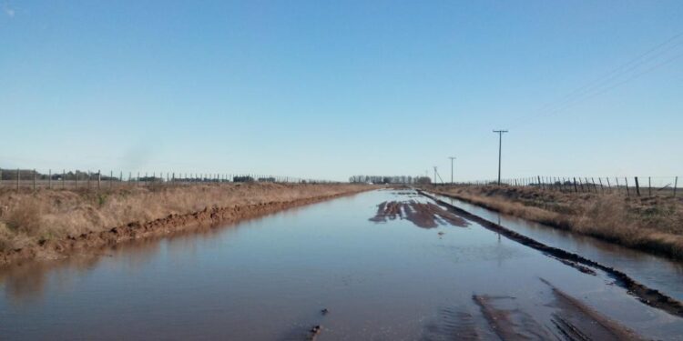 Con lo recaudado por retenciones en lo que va del año se podría haber mejorado tres veces la extensión de toda la red de caminos rurales
