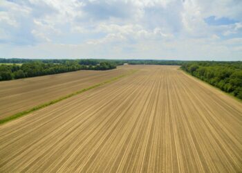 Gigante: El mayor programa de extensión agrícola de Brasil ahora se expande para llegar a 30.000 productores