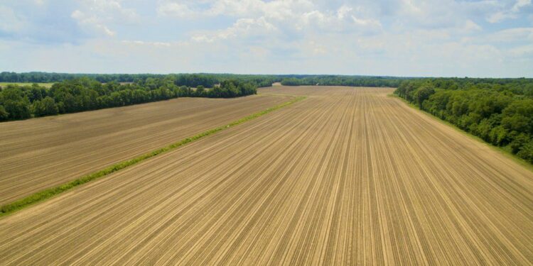 Gigante: El mayor programa de extensión agrícola de Brasil ahora se expande para llegar a 30.000 productores