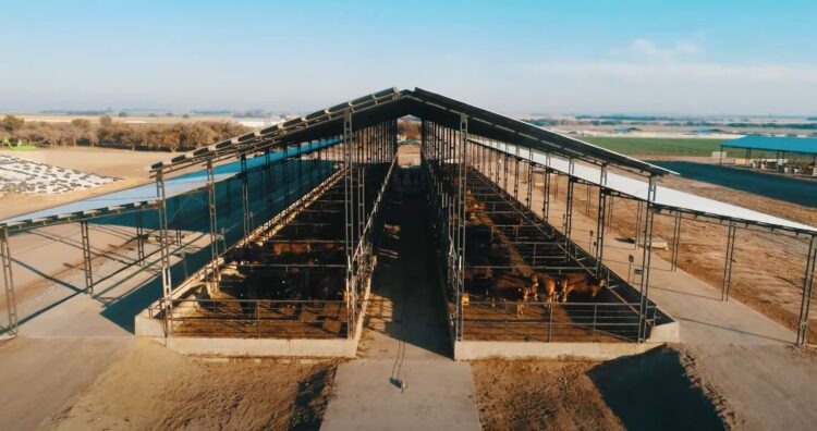 La empresa de nutrición animal Biofarma inauguró un centro de experimentación en nutrición que incluye una escuela y hasta un biodigestor