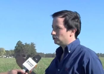 ¿Cuál es el rol de las regionales de Aapresid? Para Manuel Pereyra su objetivo es el de fomentar la interacción y el trabajo en red entre productores