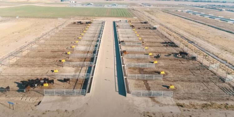 La empresa de nutrición animal Biofarma inauguró un centro de experimentación en nutrición que incluye una escuela y hasta un biodigestor