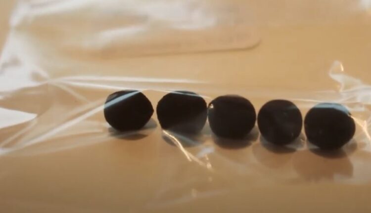 ¿Maíz con envoltorio? La cordobesa SeedMatriz desarrolló una tecnología para recubrir la semilla y evitar pérdidas productivas por falta de uniformidad