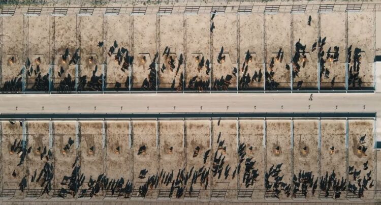 La empresa de nutrición animal Biofarma inauguró un centro de experimentación en nutrición que incluye una escuela y hasta un biodigestor