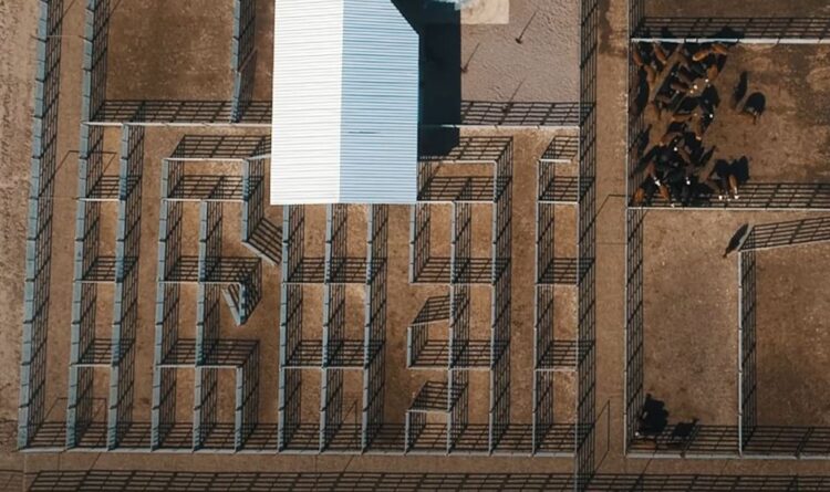 La empresa de nutrición animal Biofarma inauguró un centro de experimentación en nutrición que incluye una escuela y hasta un biodigestor