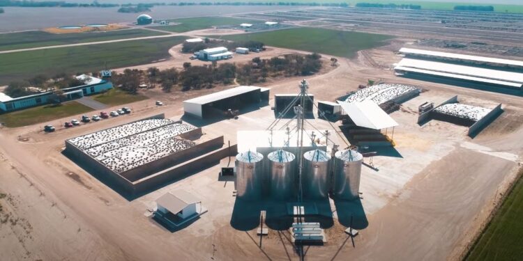 La empresa de nutrición animal Biofarma inauguró un centro de experimentación en nutrición que incluye una escuela y hasta un biodigestor