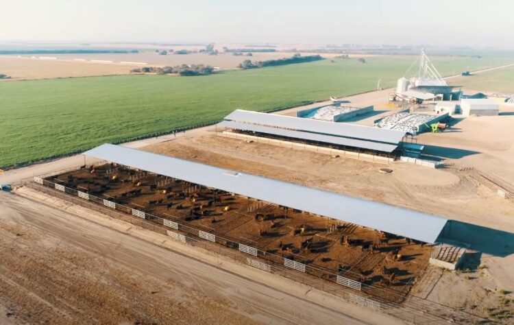 La empresa de nutrición animal Biofarma inauguró un centro de experimentación en nutrición que incluye una escuela y hasta un biodigestor