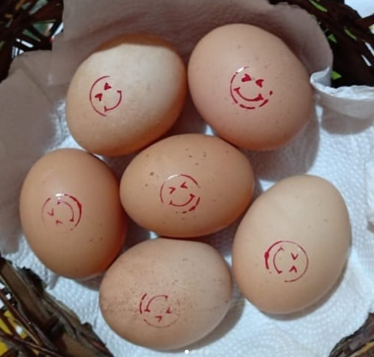 Abril Tolentino tiene 14 años y como se aburría en la pandemia se puso a criar gallinas felices: Ya tiene 800 y vende los huevos en su pueblo