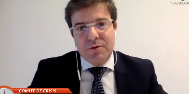 Diego Cifarelli advirtió que “hace tres semanas que los molinos no compran un grano de trigo en la Argentina”