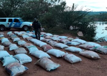 Trabajo de riesgo: Las fuerzas de seguridad incautaron en lo que va del año 5455 toneladas de granos (0,005% de la producción)