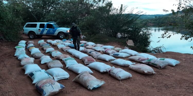 Trabajo de riesgo: Las fuerzas de seguridad incautaron en lo que va del año 5455 toneladas de granos (0,005% de la producción)