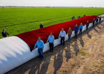 Parece joda: El radical Mestre hace campaña con los silobolsas pero quiere que el gobierno central reparta las retenciones agrícolas