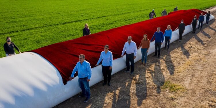 Parece joda: El radical Mestre hace campaña con los silobolsas pero quiere que el gobierno central reparta las retenciones agrícolas
