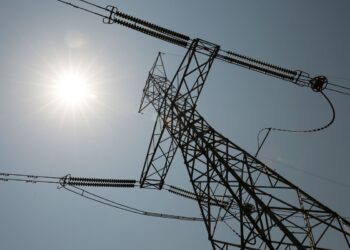 El aliado menos pensado: La crisis energética global contribuye a sostener los precios de los granos gruesos